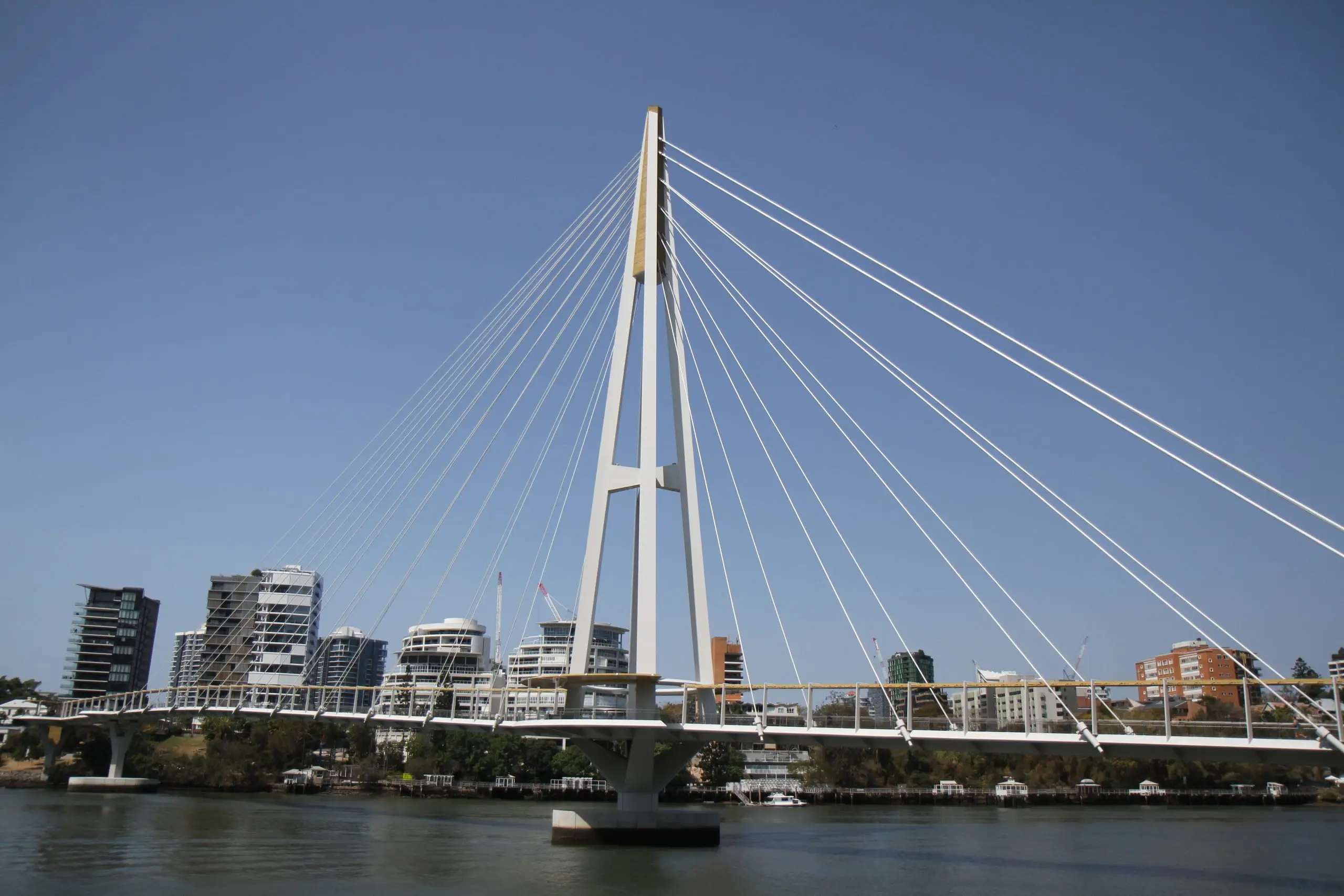 The mast and cable stays of the Kangaroo Point Green Bridge over the Brisbane River